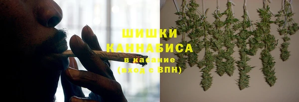 шишки Лабытнанги