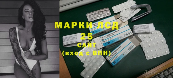 шишки Лабытнанги